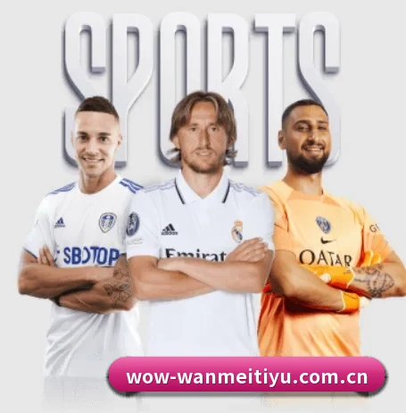 完美体育登录入口 APP - Wanmei